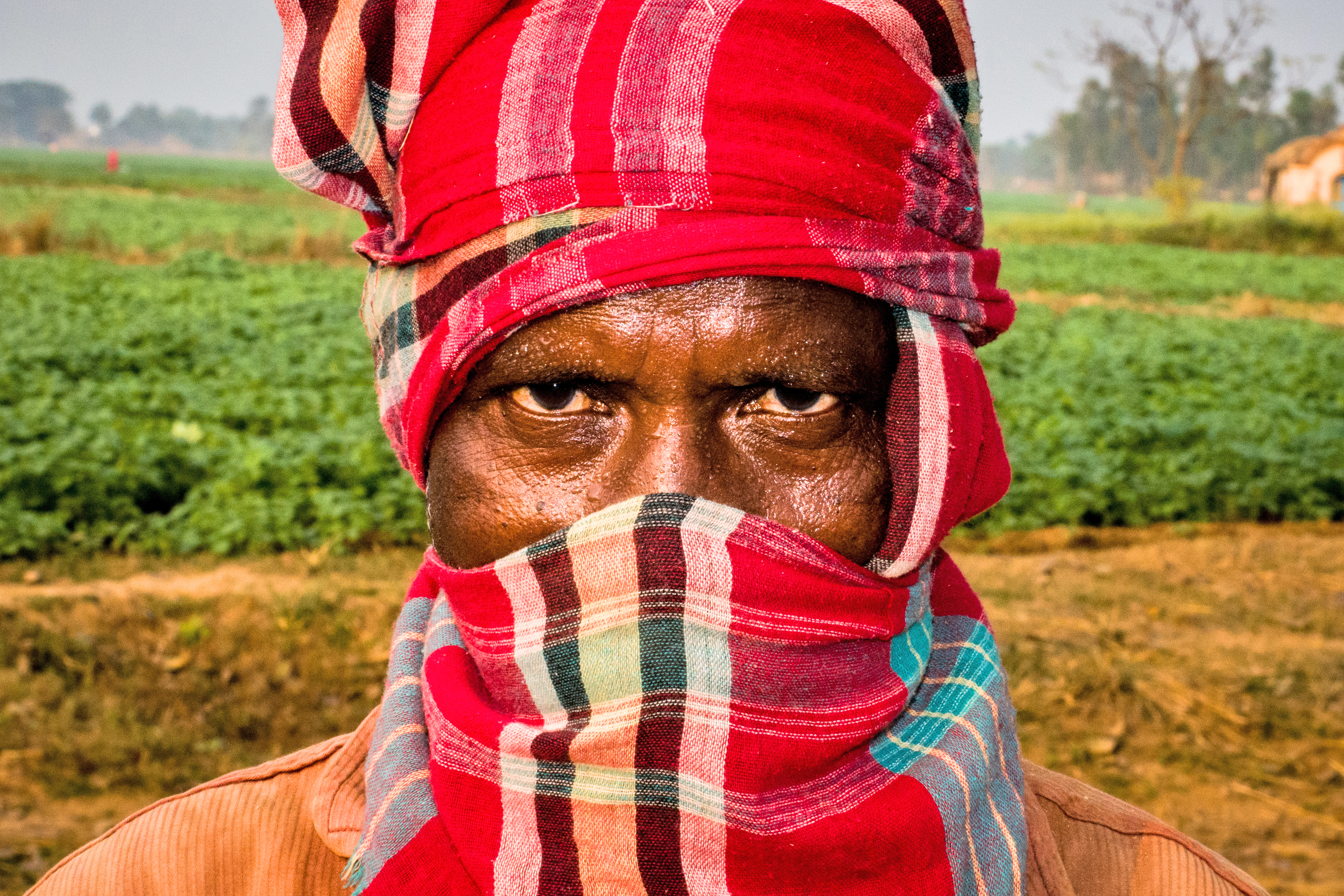 The Worker At The Farms