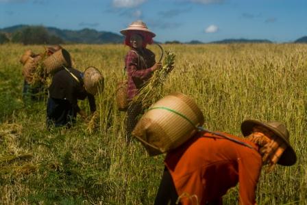 tl_files/EIUC MEDIA/HRE/Workers_in_the_field_web.jpg